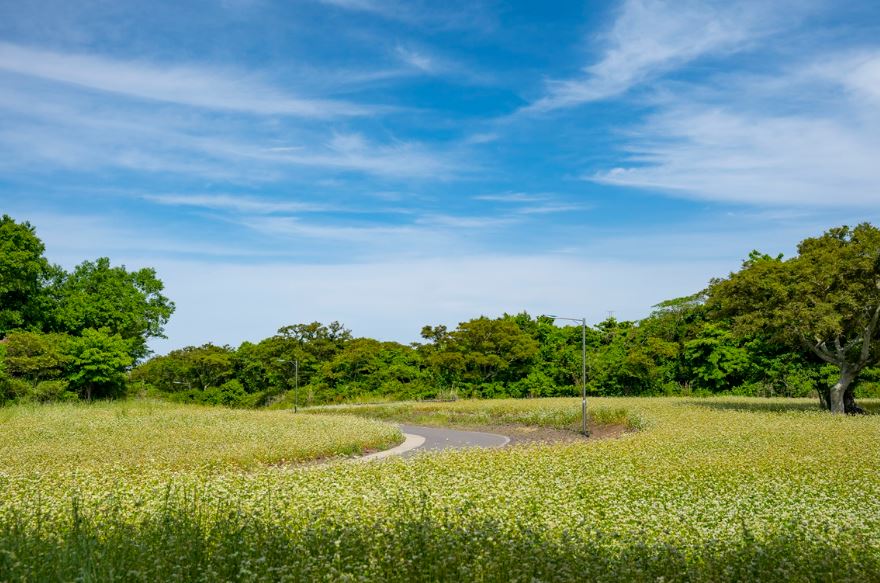 제주여행지도 제주사진명소 제주동부여행코스