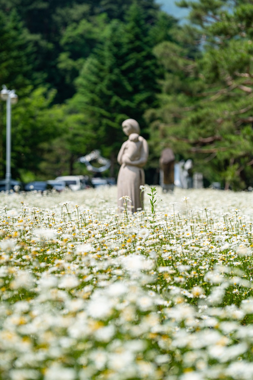 충청도의 조용한 소도시 (제천, 보은, 예산)