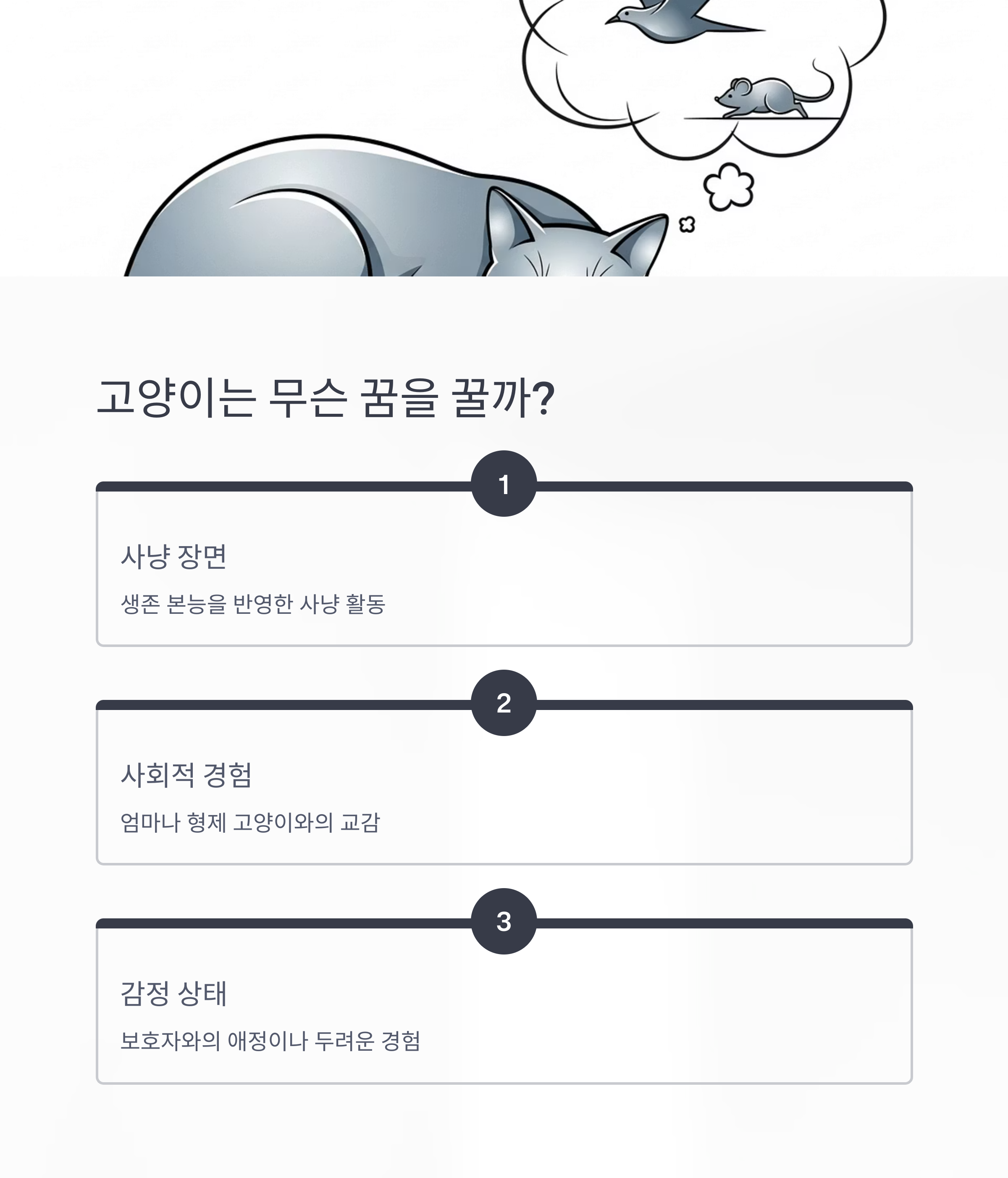 고양이는 무슨 꿈을 꿀까?