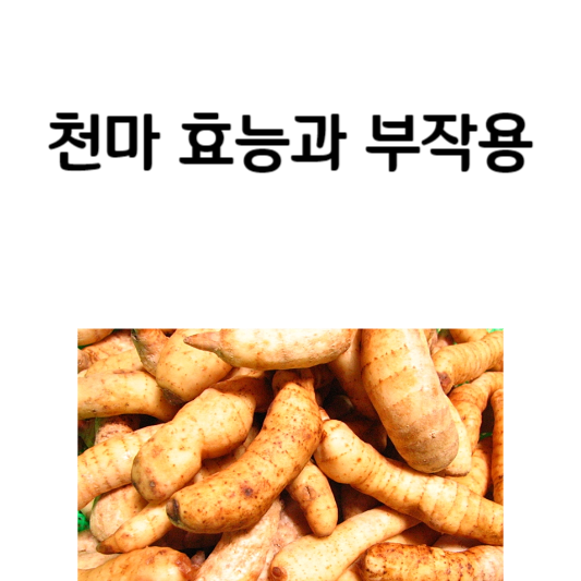 천마 효능과 부작용