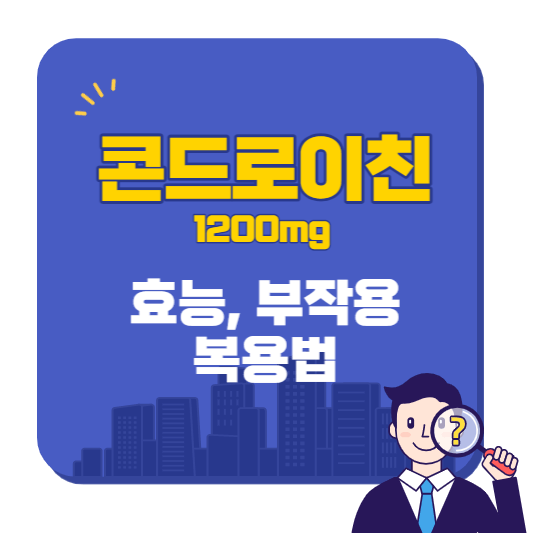 콘드로이친_1200mg