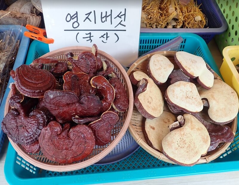 약초가게-진열대-위의-영지버섯
