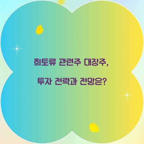 희토류 관련주 대장주