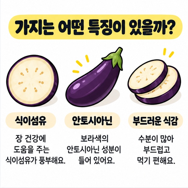 가지의 식감과 식이섬유, 안토시아닌 특징을 간단한 아이콘으로 정리한 카드