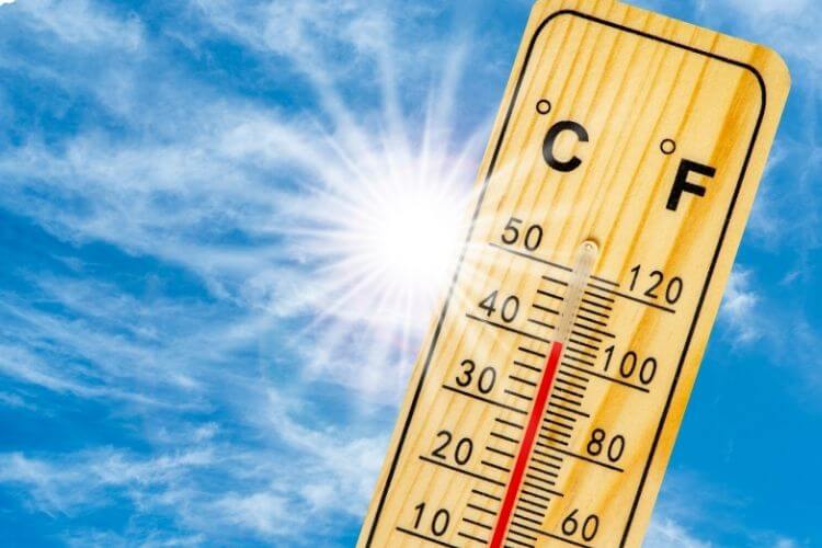 뜨거운 햇살과 무더위