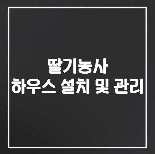 딸기 농사 하우스 설치 및 유지