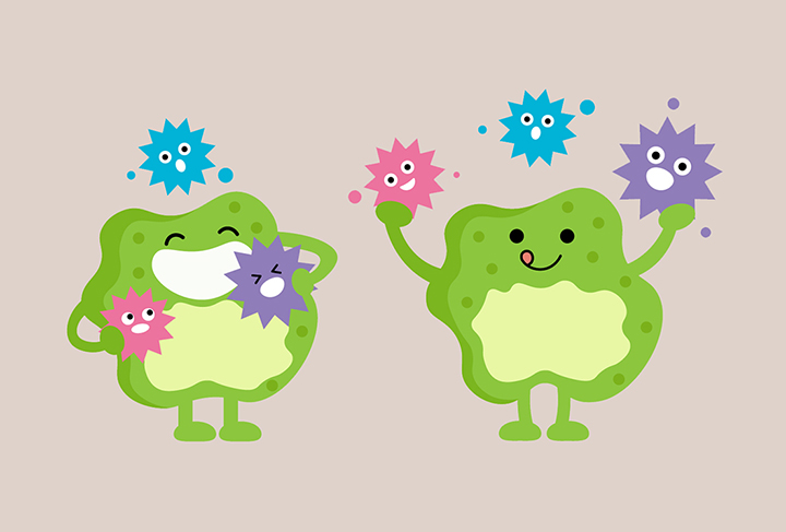 항산화-작용중인-노니