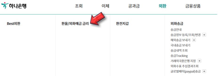 환율-외화예금-금리-선택하기