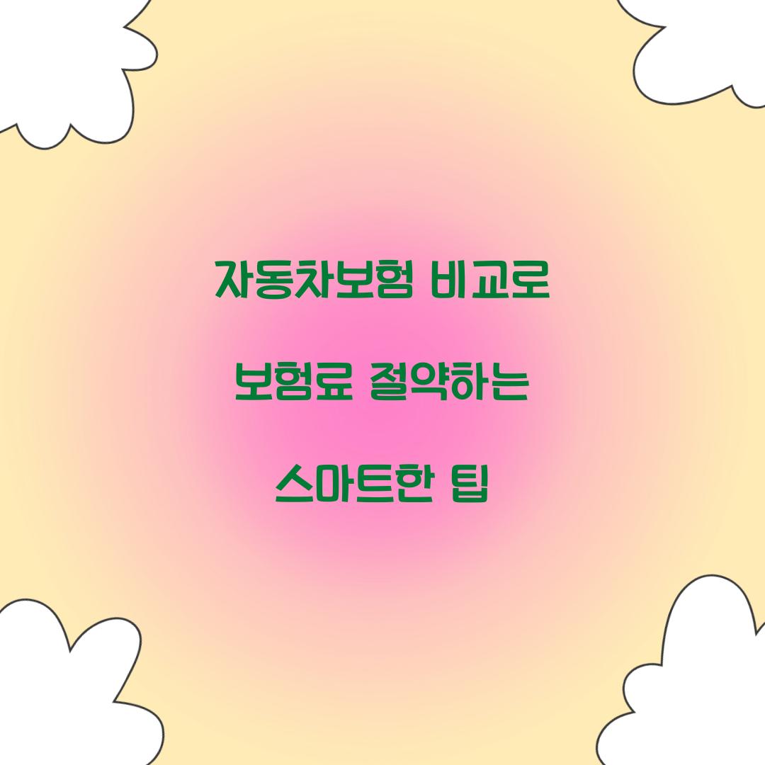 자동차보험 비교