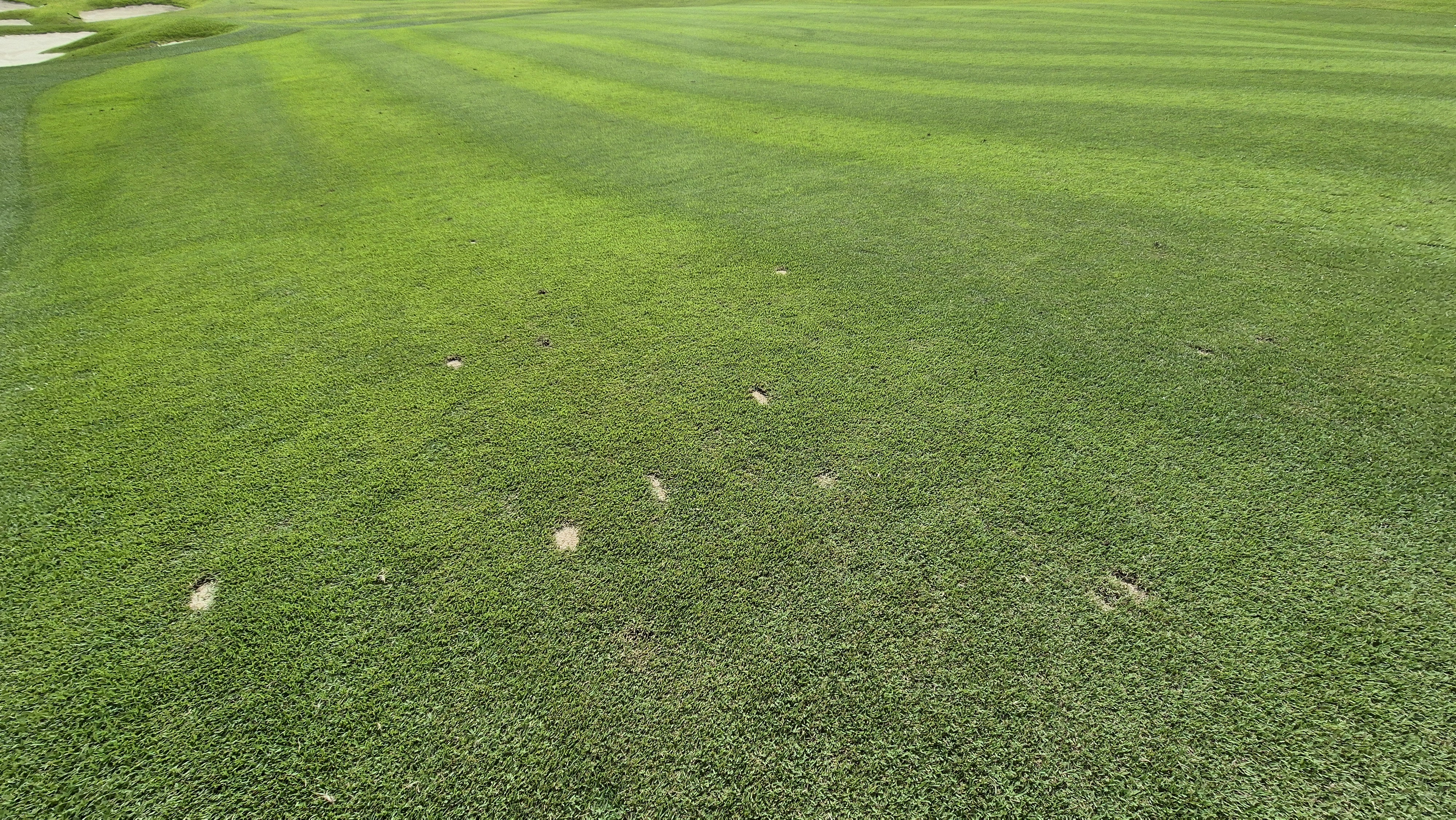 세일cc 들길-산길 코스 라운드 후기