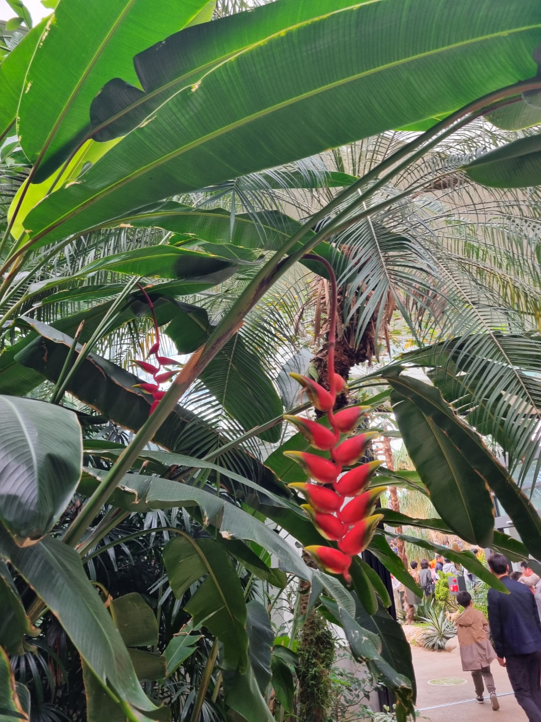 서울식물원 가는길