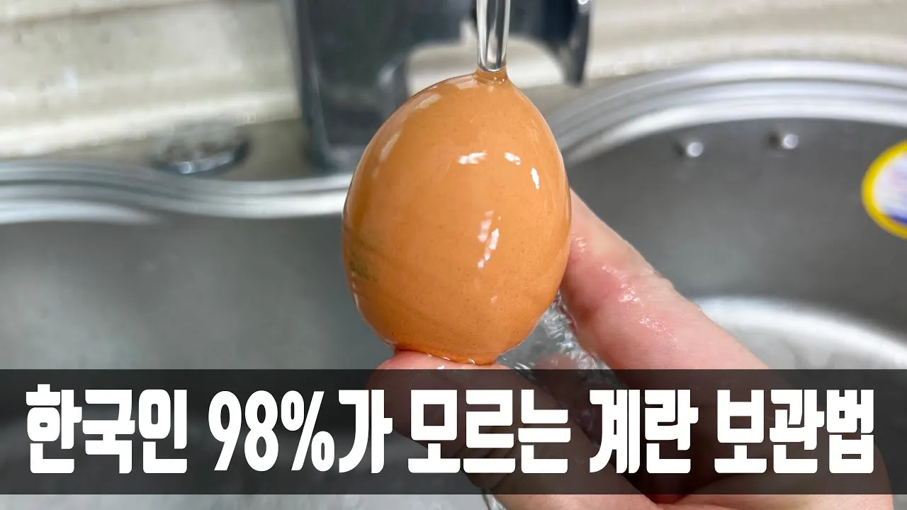 삶은 계란 보관법과 신선도 유지 비결_3