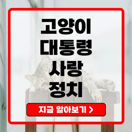 고양이 대통령