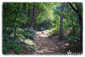 서봉산