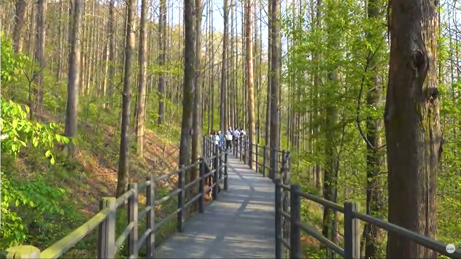 7Km무장애자락길 사진