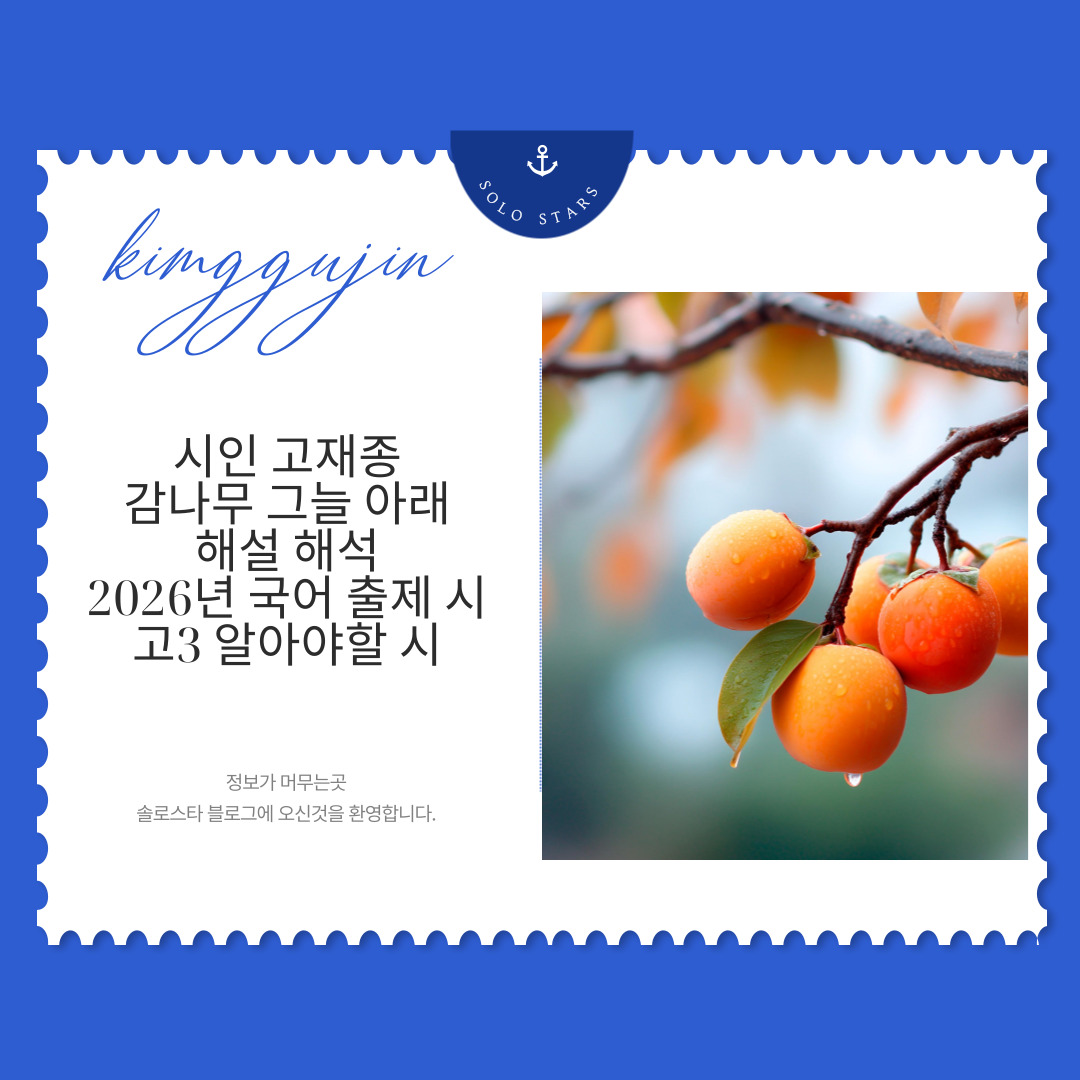 감나무 그늘 아래 관련 사진