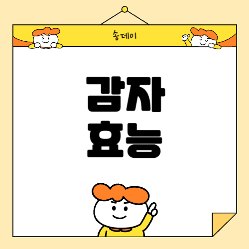 감자의 효능, 활용법 총정리