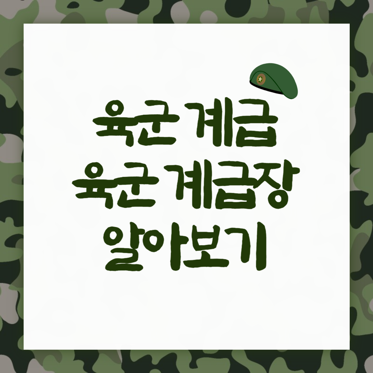 육군 계급, 육군 계급장 알아보기