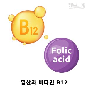 비타민 결핍 빈혈