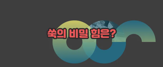 쑥 효능 자세히 알아볼게요