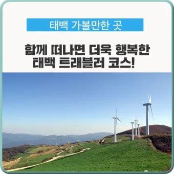 태백 가볼만한곳 추천 카페 맛집 가을 BEST 10_15