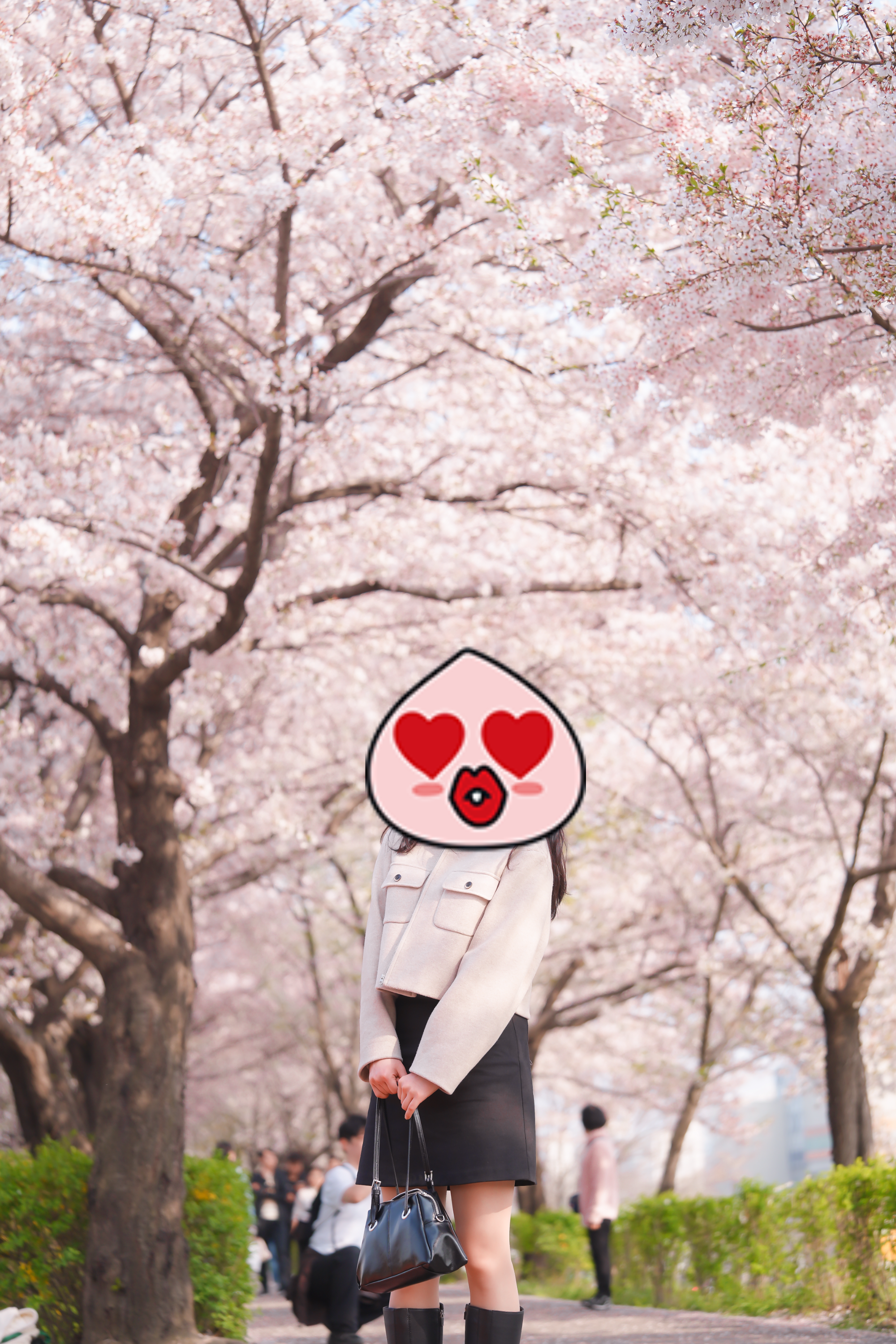 서울 벚꽃 숨은 명소