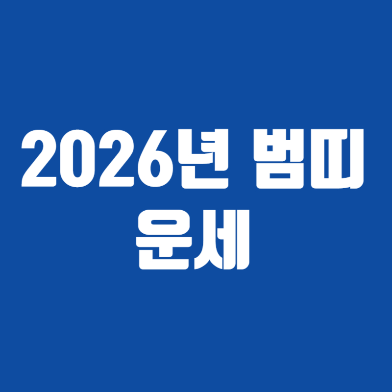2026년 범띠 운세