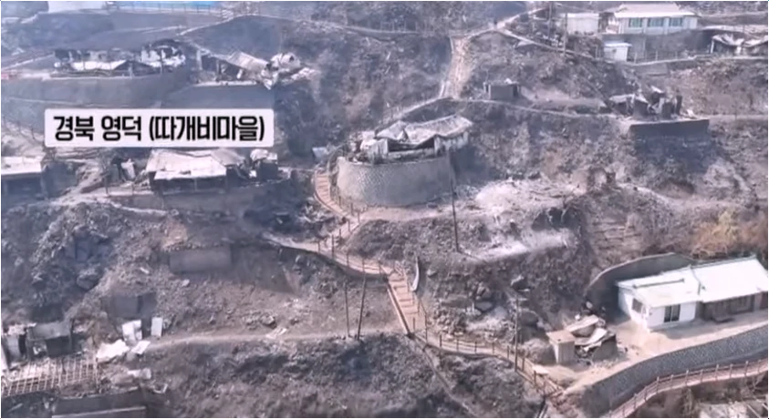 경북-산불-피해