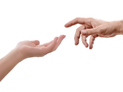 취업 정보 사이트