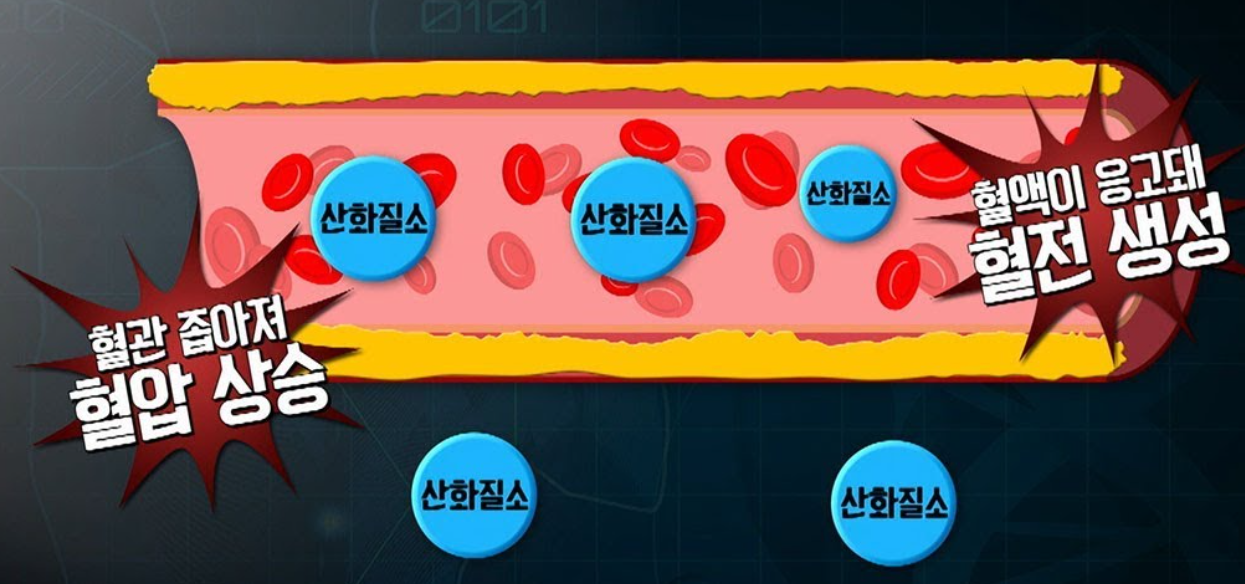 혈액이 응고되 혈전 생성