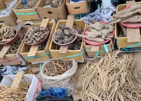 영암 가볼만한곳 베스트 10