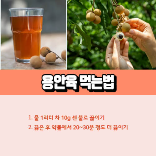 용안육 먹는법