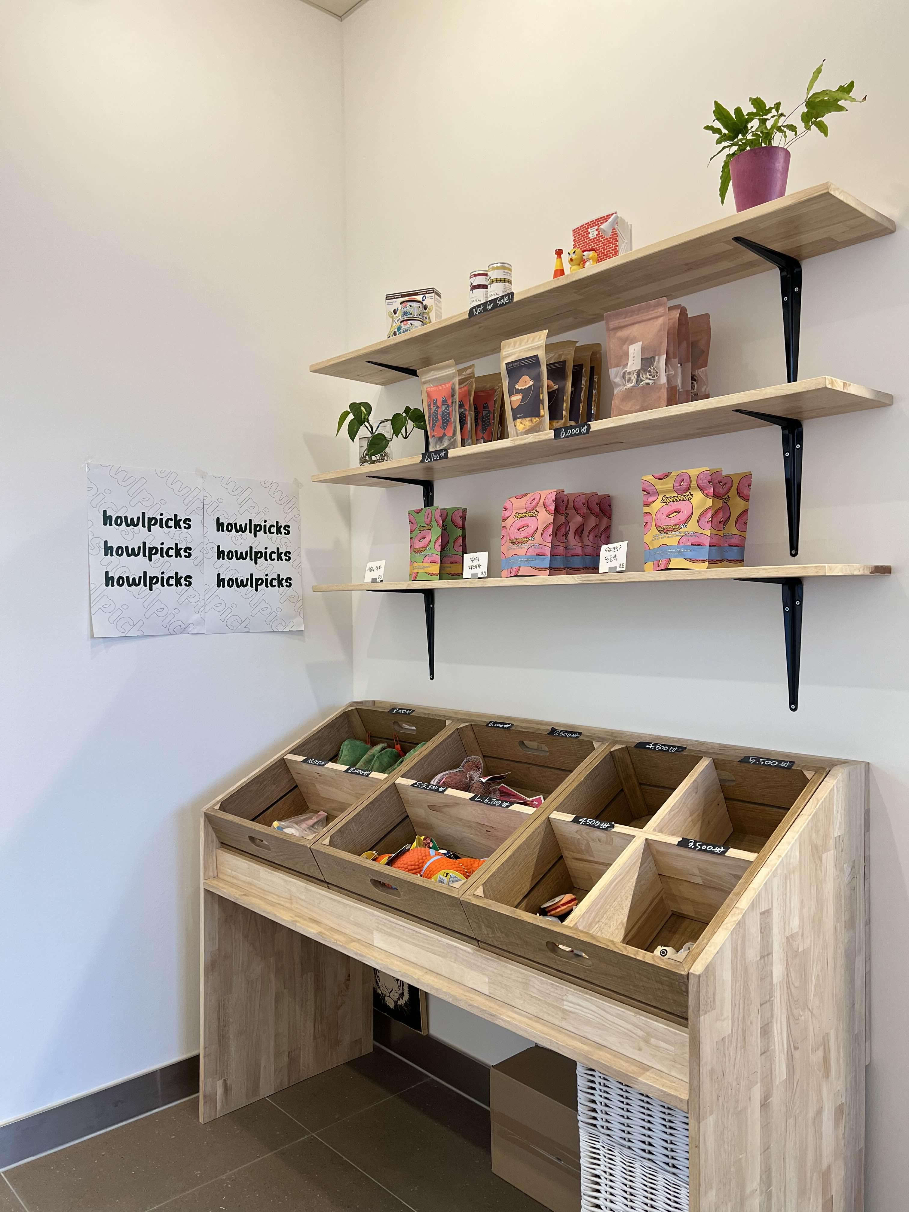 서울근교 일산 애견동반카페 하울픽스