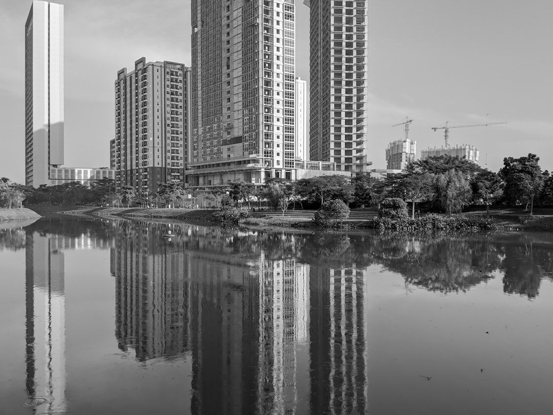 Sutera