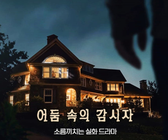 어둠속의 감시자 포스터