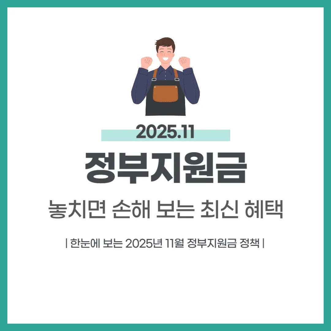2025년 11월 정부지원금 총정리