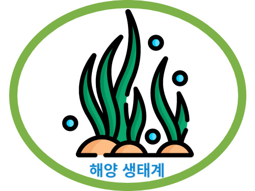 해양-생태계