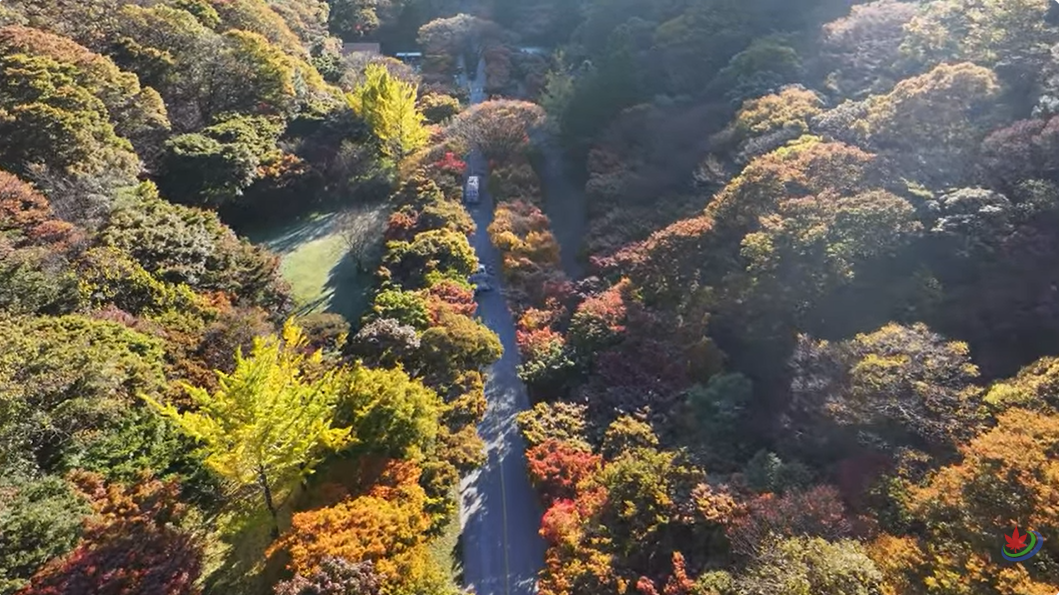 1박 2일 단풍 여행 BEST 5 -설악산,오대산, 불국사, 남이섬, 내장산