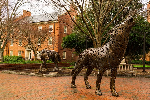 미국 대학교