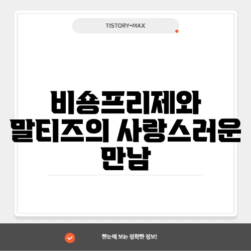 비숑프리제와 말티즈의 사랑스러운 만남