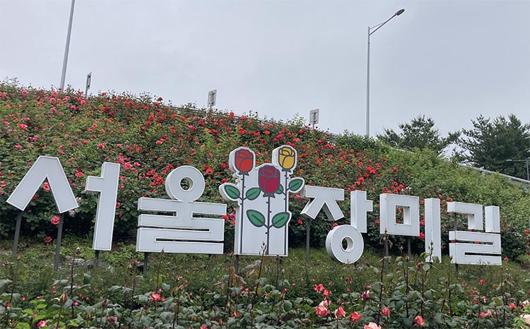 중랑장미공원