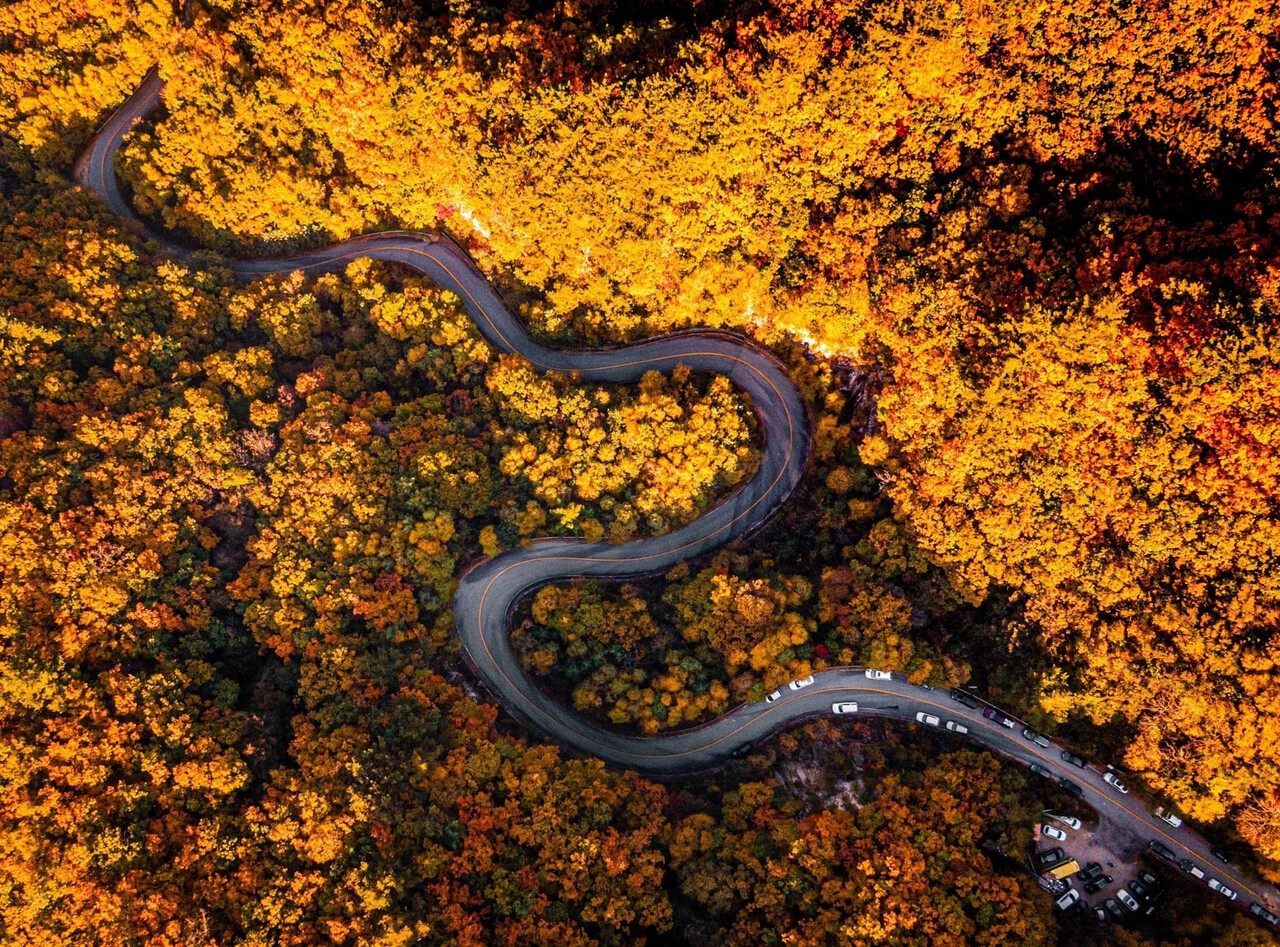 용화산 단풍 관련 사진첨부