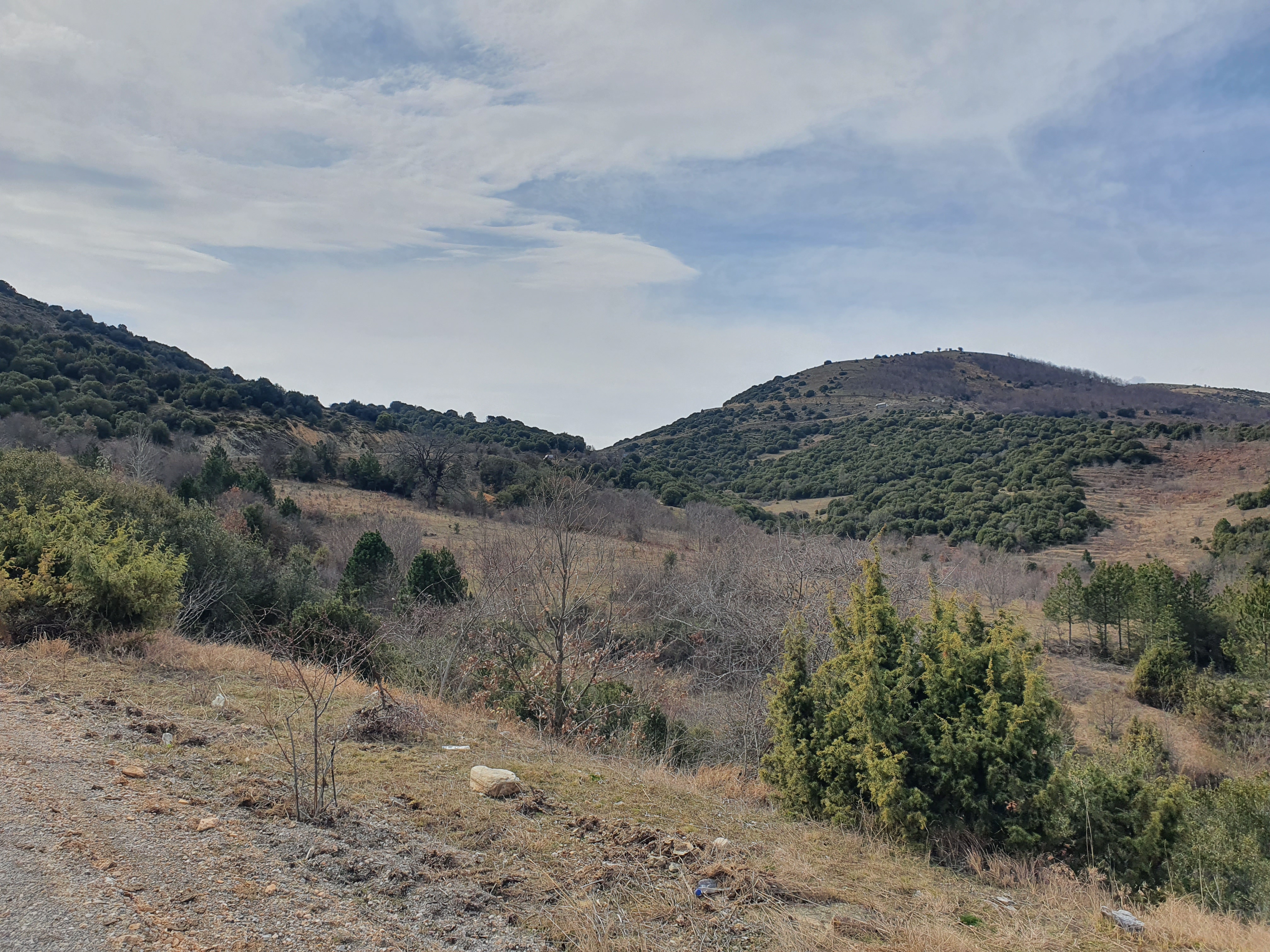 그리스 엘라소나 가는 길