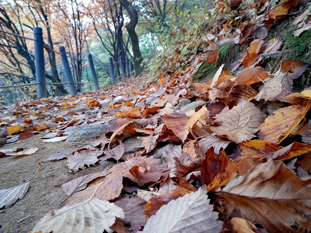이마트24 11월 등산챌린지