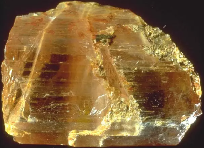 디아스포어(Diaspore)