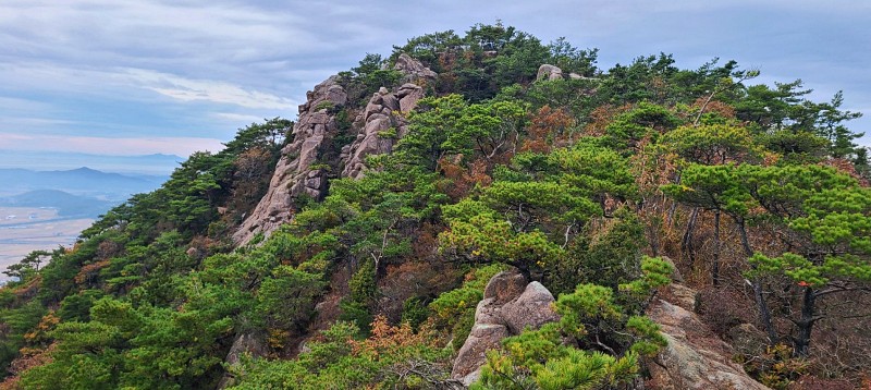 전남 강진 월각산 29
