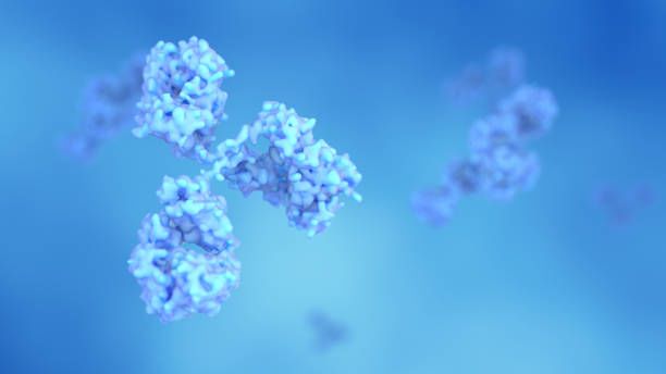Lymphocyte 수치