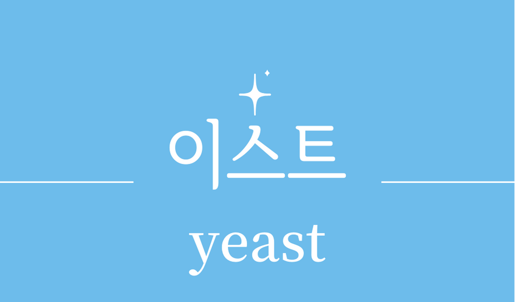 &#39;이스트(yeast)&#39;