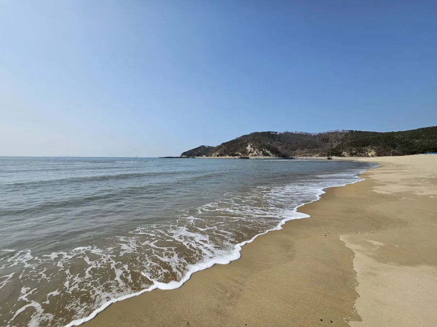 덕적도