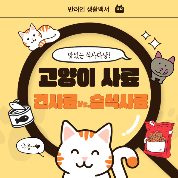 고양이사료